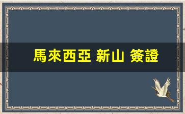 馬來西亞 新山 簽證(馬來西亞新山房價)